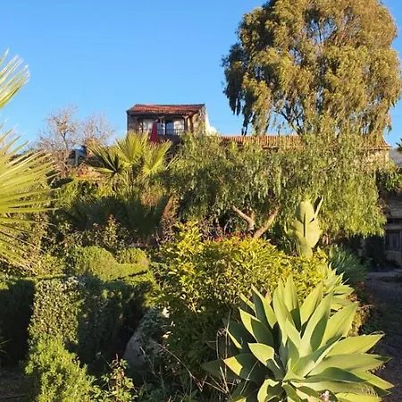 Tenerife Nature Retreat Ifonche Zewnętrze zdjęcie