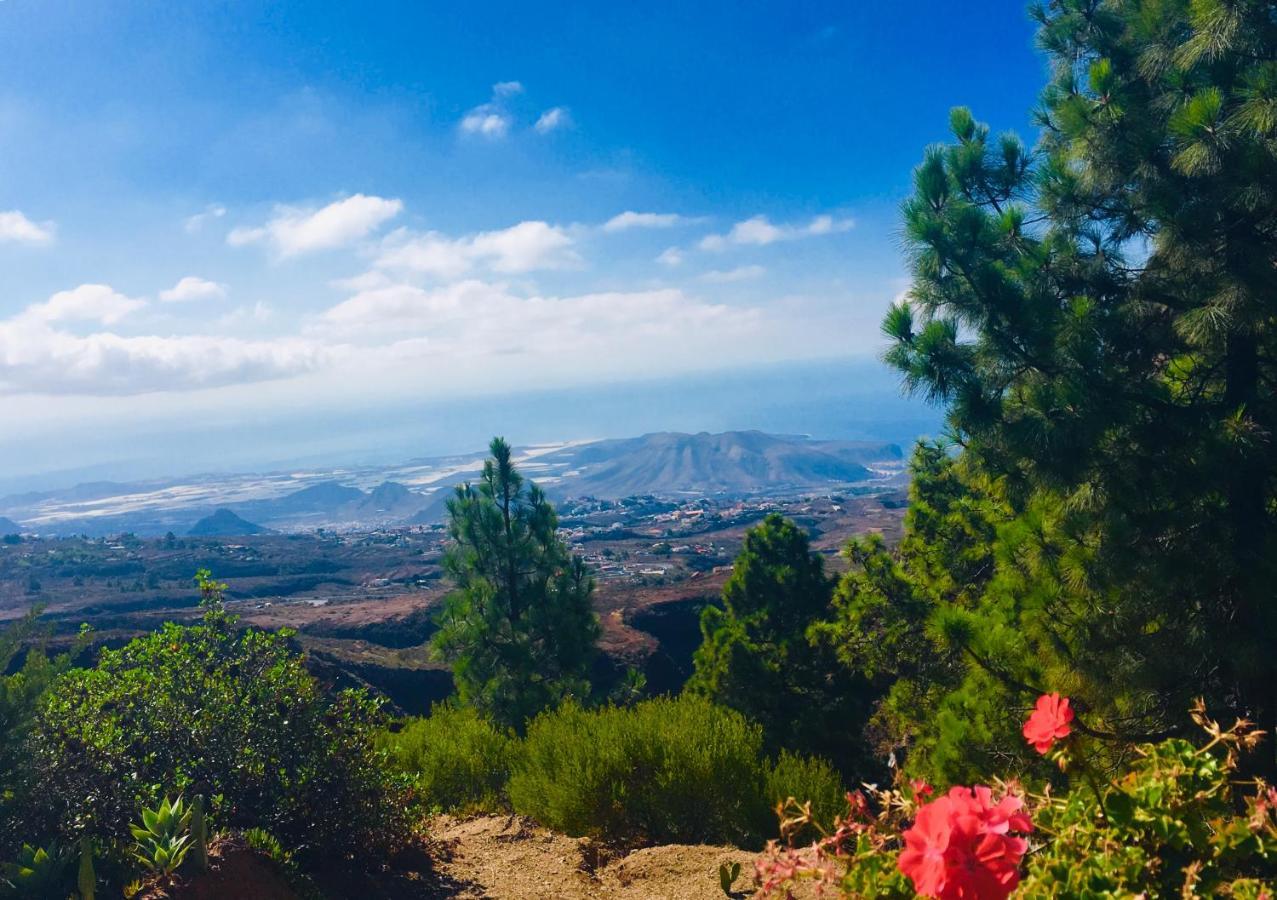 Holiday home Tenerife Nature Retreat