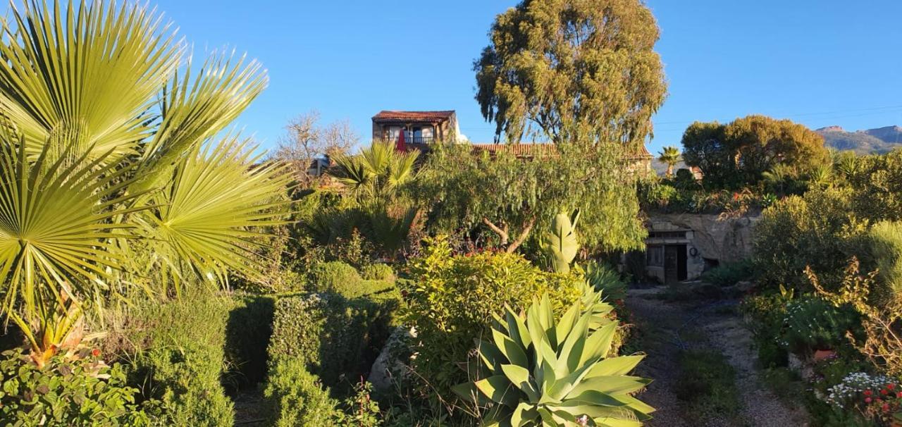 Holiday home Tenerife Nature Retreat Ifonche