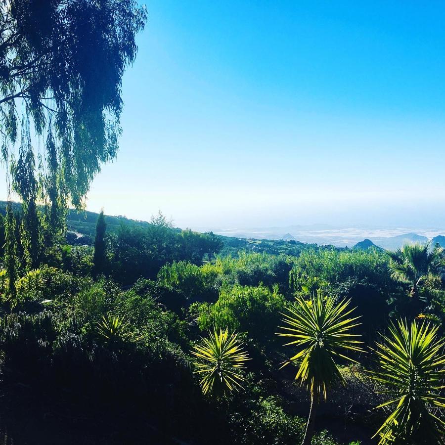 Holiday home Tenerife Nature Retreat Ifonche